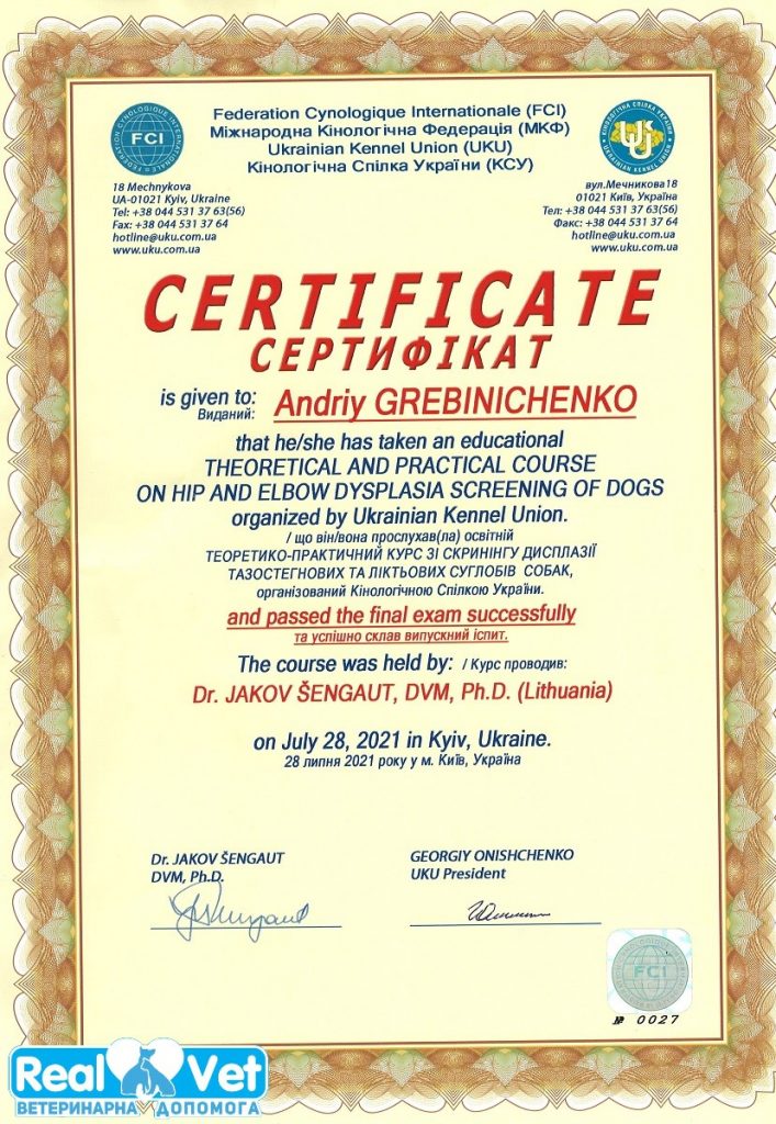 Диплом/нагорода