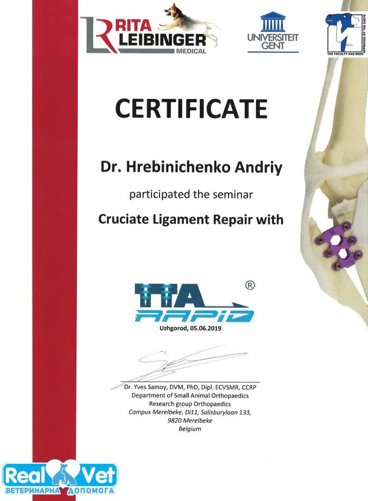 Диплом/нагорода