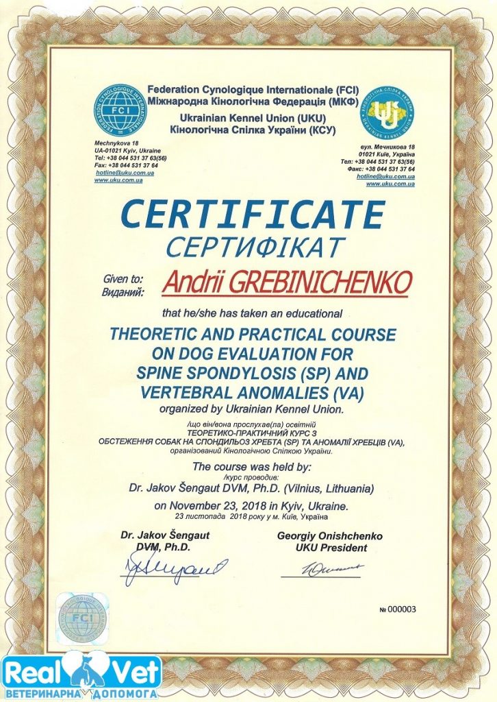 Диплом/нагорода